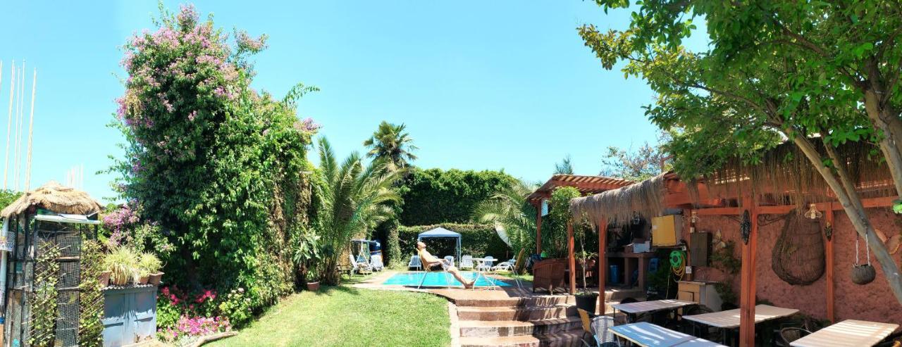 Hotel De Talca 塔尔卡 外观 照片