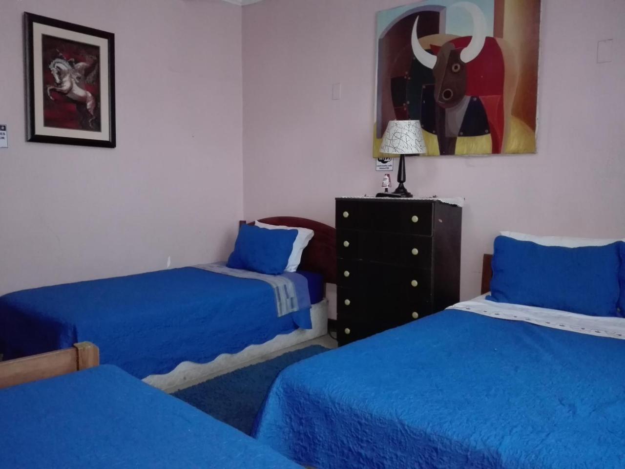 Hotel De Talca 塔尔卡 外观 照片